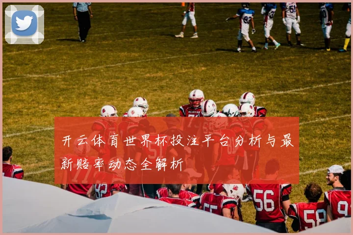 开云体育世界杯投注平台分析与最新赔率动态全解析
